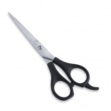 Economy Hair Scissors